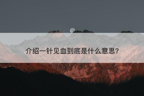 介绍一针见血到底是什么意思？