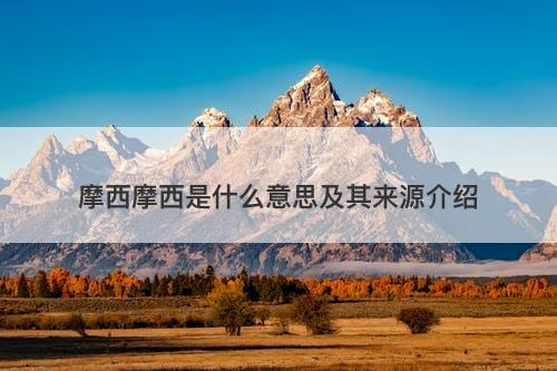 摩西摩西是什么意思及其来源介绍