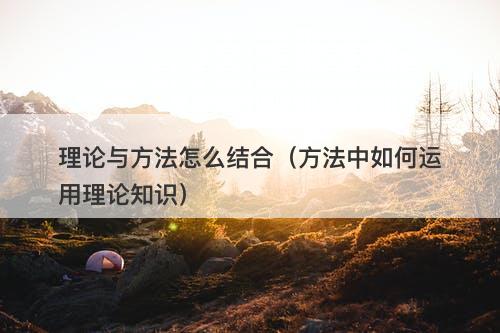 理论与方法怎么结合（方法中如何运用理论知识）