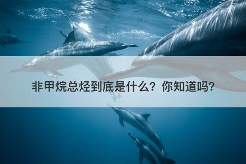 非甲烷总烃到底是什么？你知道吗？