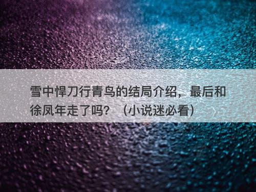 雪中悍刀行青鸟的结局介绍，最后和徐凤年走了吗？（小说迷必看）