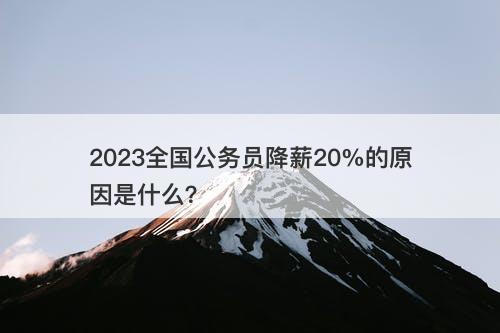 2023全国公务员降薪20%的原因是什么？
