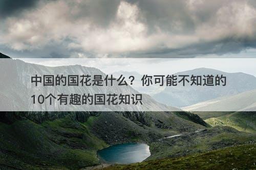 中国的国花是什么？你可能不知道的10个有趣的国花知识