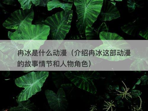 冉冰是什么动漫（介绍冉冰这部动漫的故事情节和人物角色）