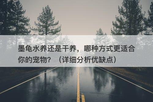 墨龟水养还是干养，哪种方式更适合你的宠物？（详细分析优缺点）