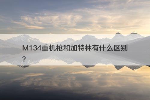 M134重机枪和加特林有什么区别?