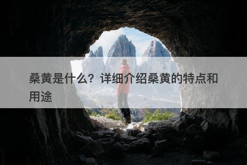 桑黄是什么?详细介绍桑黄的特点和用途