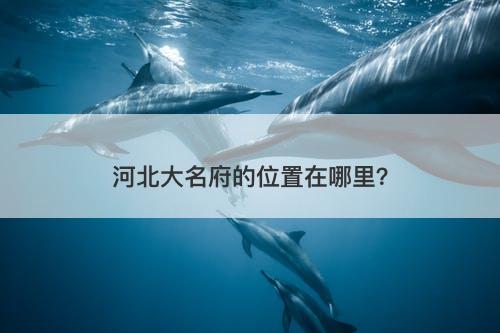 河北大名府的位置在哪里？