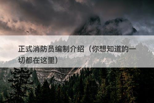 正式消防员编制介绍(你想知道的一切都在这里)