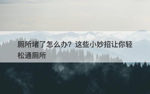 厕所堵了怎么办?这些小妙招让你轻松通厕所