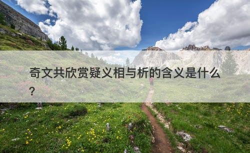 奇文共欣赏疑义相与析的含义是什么?