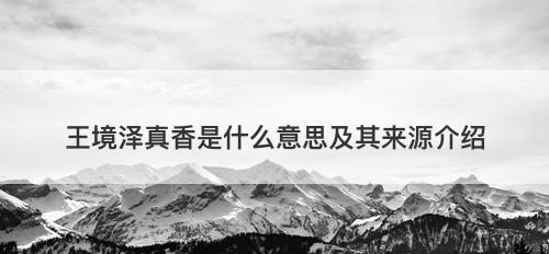 王境泽真香是什么意思及其来源介绍