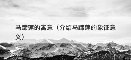 马蹄莲的寓意(介绍马蹄莲的象征意义)