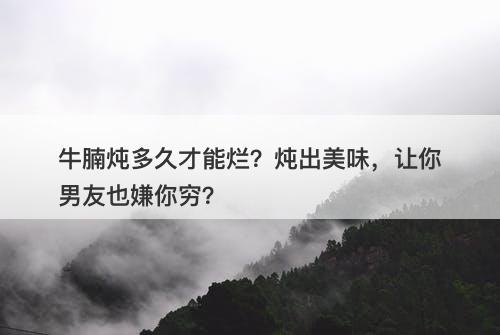 牛腩炖多久才能烂?炖出美味,让你男友也嫌你穷?