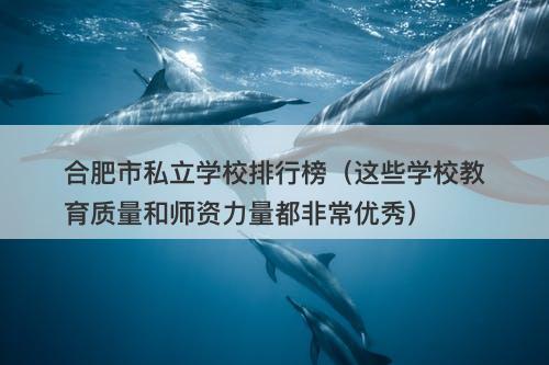 合肥市私立学校排行榜(这些学校教育质量和师资力量都非常优秀)