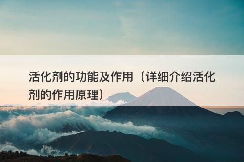 活化剂的功能及作用(详细介绍活化剂的作用原理)