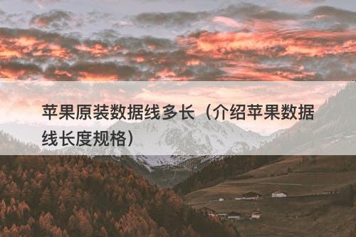 苹果原装数据线多长（介绍苹果数据线长度规格）