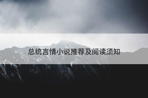 总统言情小说推荐及阅读须知