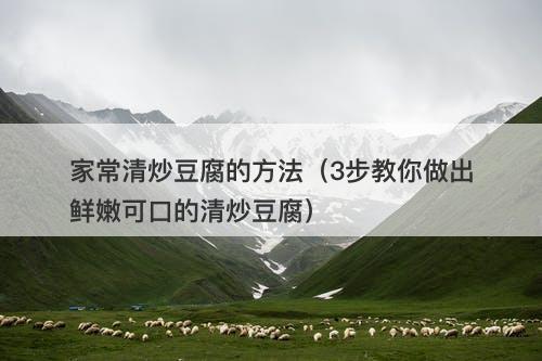 家常清炒豆腐的方法(3步教你做出鲜嫩可口的清炒豆腐)