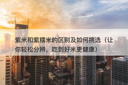 紫米和紫糯米的区别及如何挑选(让你轻松分辨,吃到好米更健康)