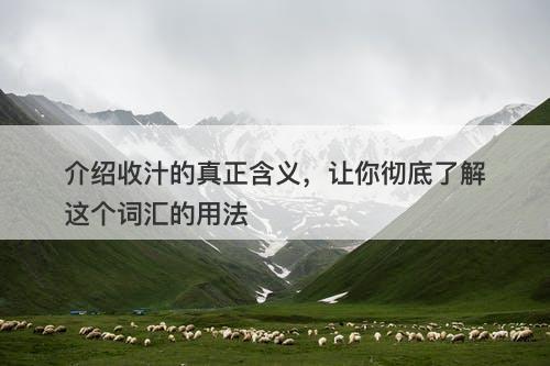 介绍收汁的真正含义，让你彻底了解这个词汇的用法