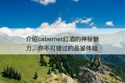 介绍cabernet红酒的神秘魅力，你不可错过的品鉴体验