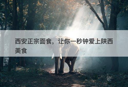西安正宗面食，让你一秒钟爱上陕西美食