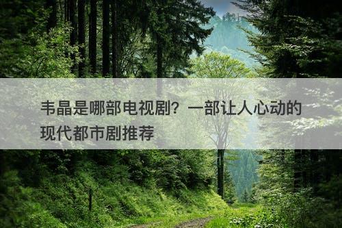 韦晶是哪部电视剧？一部让人心动的现代都市剧推荐