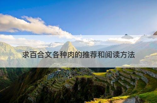 求百合文各种肉的推荐和阅读方法