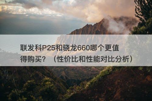联发科P25和骁龙660哪个更值得购买？（性价比和性能对比分析）