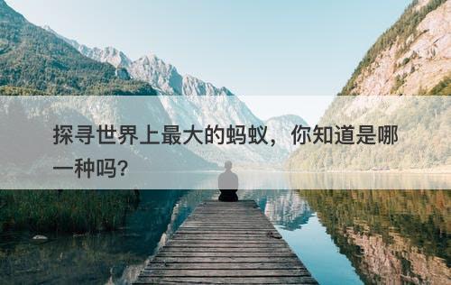 探寻世界上最大的蚂蚁，你知道是哪一种吗？