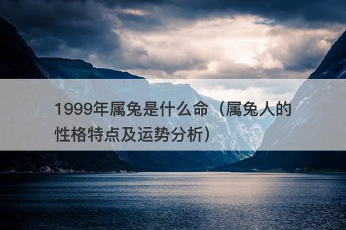 1999年屬兔是什麼命(屬兔人的性格特點及運勢分析)-圖1