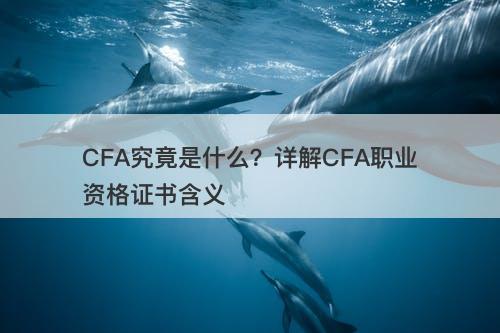 CFA究竟是什么？详解CFA职业资格证书含义-图1