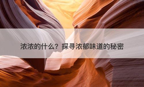 浓浓的什么？探寻浓郁味道的秘密-图1