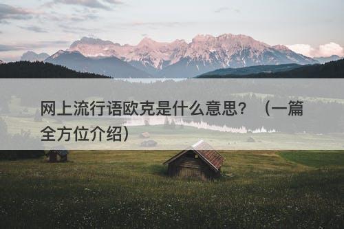 网上流行语欧克是什么意思？（一篇全方位介绍）