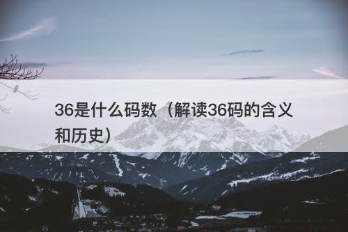 36是什么码数（解读36码的含义和历史）