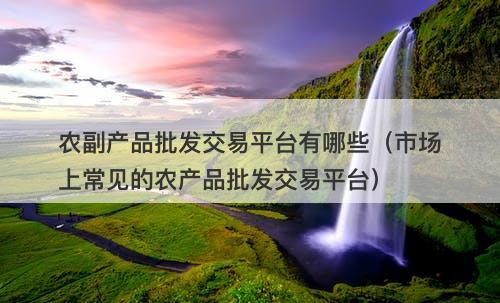 农副产品批发交易平台有哪些（市场上常见的农产品批发交易平台）