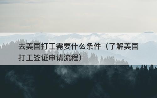 去美国打工需要什么条件（了解美国打工签证申请流程）