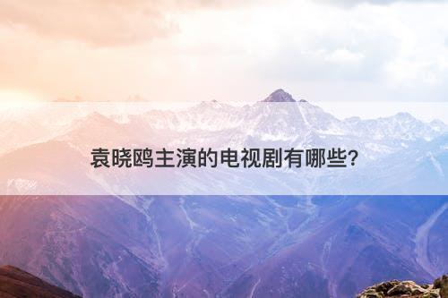 袁晓鸥主演的电视剧有哪些?