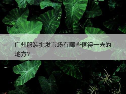 广州服装批发市场有哪些值得一去的地方?