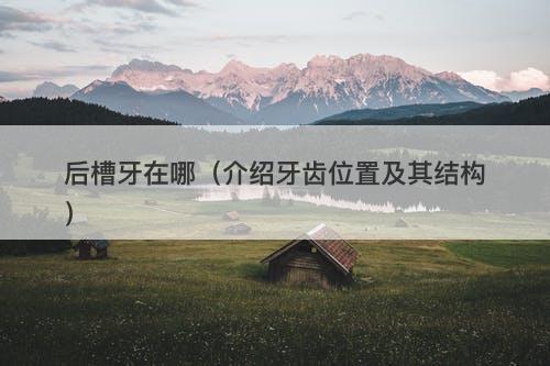 后槽牙在哪(介绍牙齿位置及其结构)
