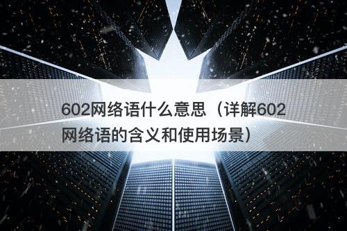 602网络语什么意思（详解602网络语的含义和使用场景）
