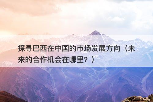 探寻巴西在中国的市场发展方向（未来的合作机会在哪里？）