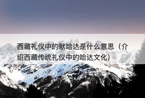 西藏礼仪中的献哈达是什么意思（介绍西藏传统礼仪中的哈达文化）
