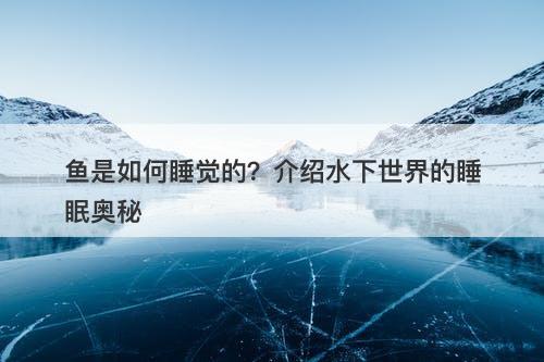 鱼是如何睡觉的？介绍水下世界的睡眠奥秘