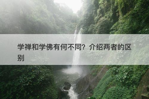 学禅和学佛有何不同？介绍两者的区别