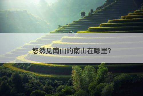 悠然见南山的南山在哪里？