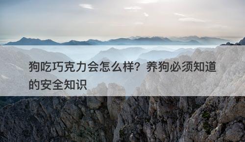 狗吃巧克力会怎么样？养狗必须知道的安全知识