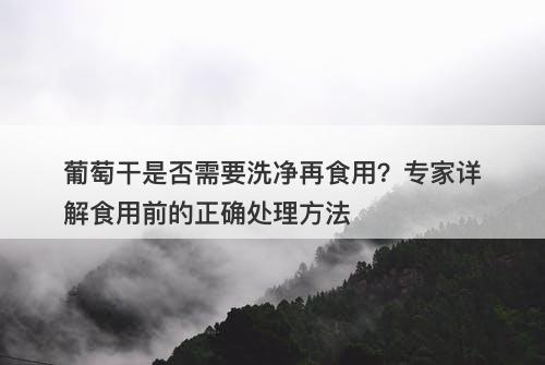 葡萄干是否需要洗净再食用？专家详解食用前的正确处理方法-图1